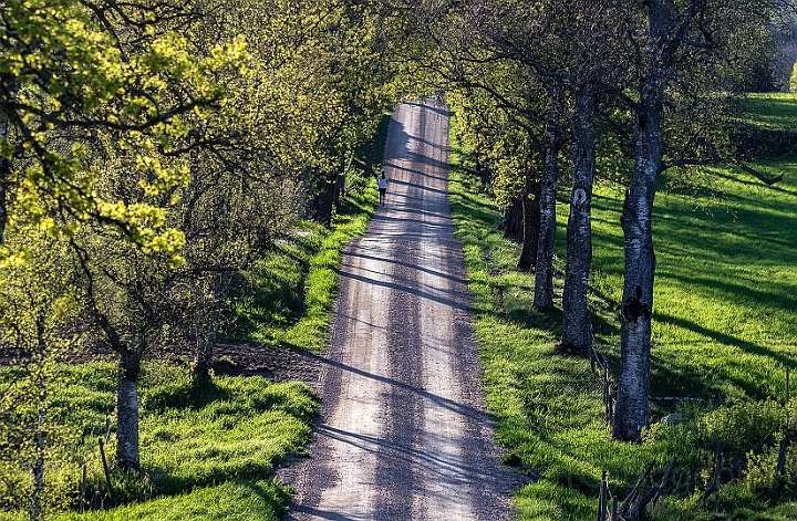 Grusväg-Ätradalen.jpg