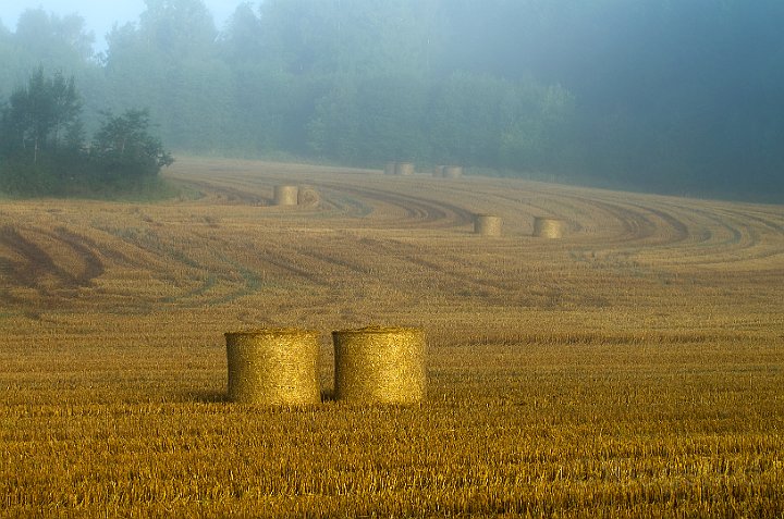 Gärde-höbalar-augusti.jpg