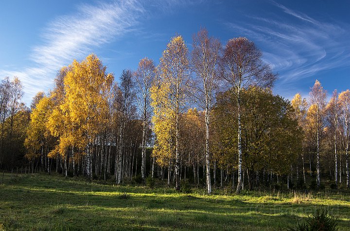 Höst-Hössna.jpg