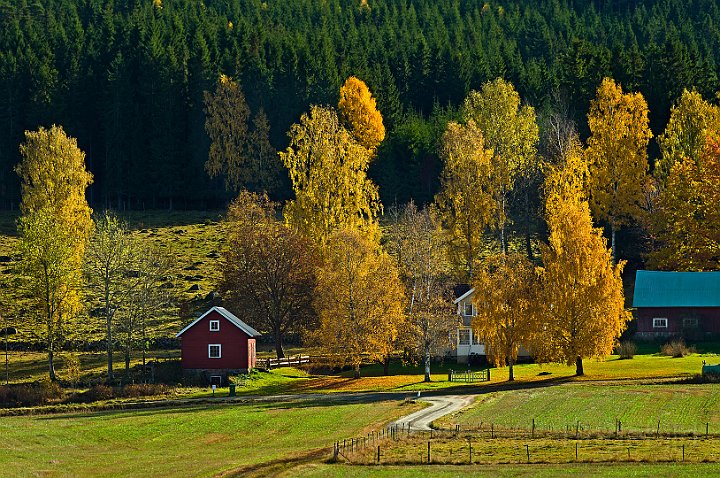 Lantgård-höst-Ätradalen.jpg