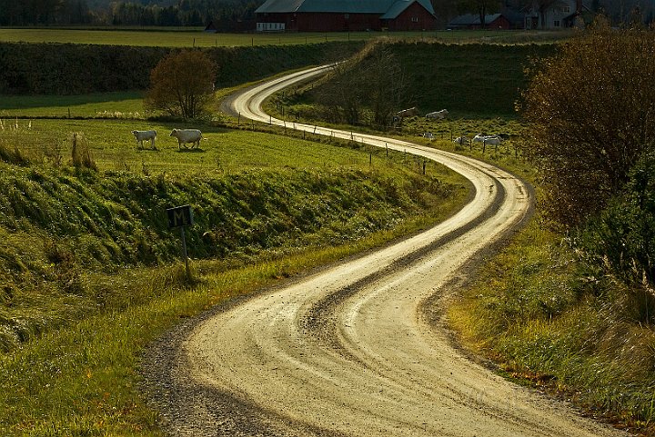 Ätradalen-grusvÄg.jpg