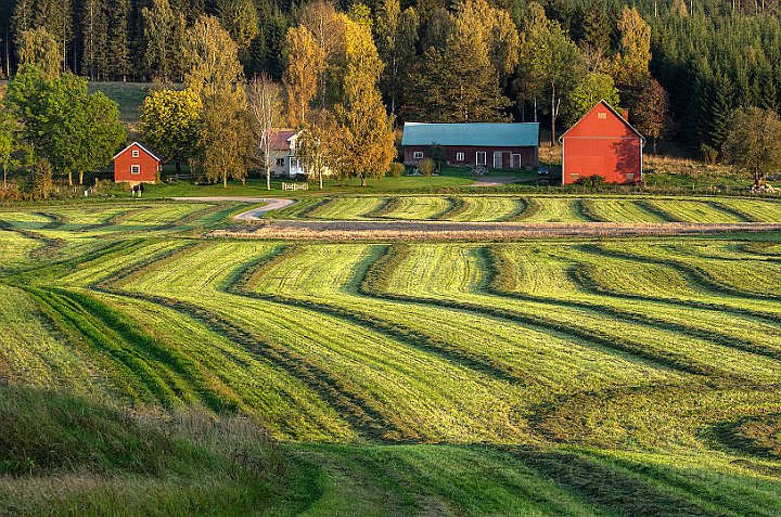 Ätradalen-åker1.jpg
