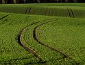 Gärden5