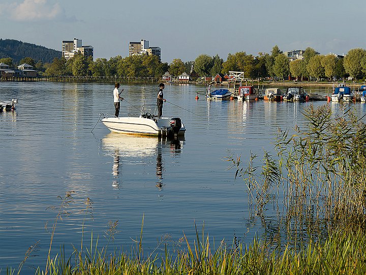 Fiske.jpg