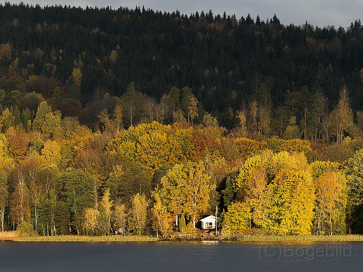 Höst-Åsunden_2.jpg