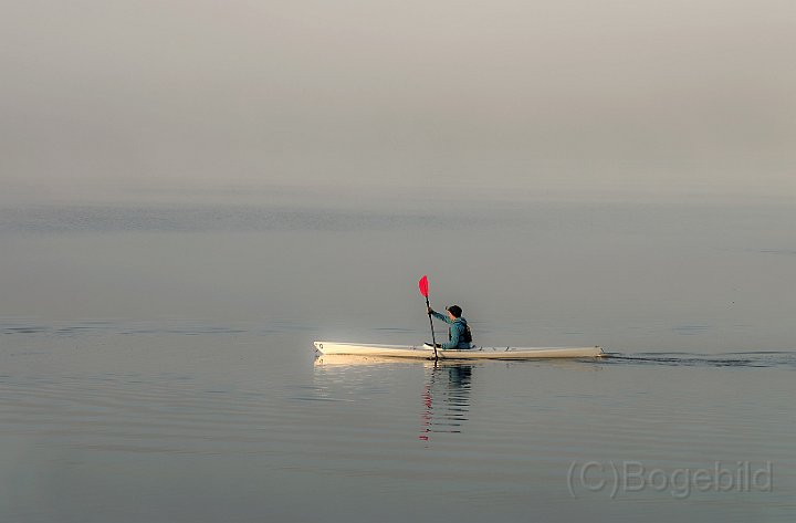 Kanotist-morgondimma-3.jpg