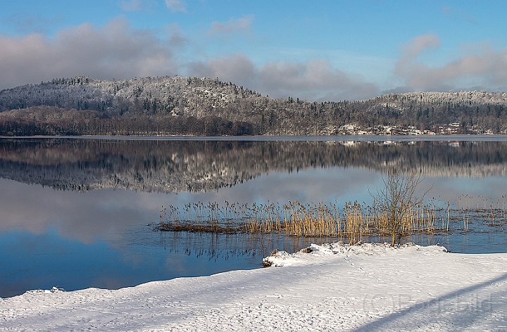 Skottek-vinter_1.jpg