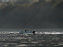 Fiske-kväll