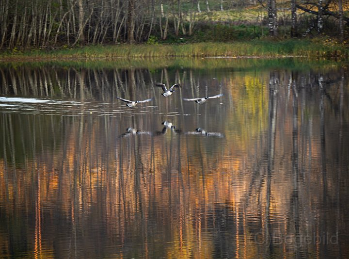 Flatasjön.jpg
