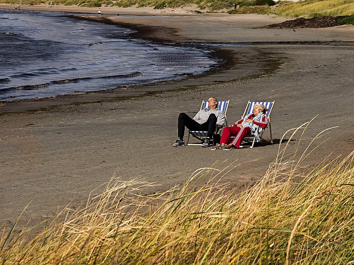 Apelviken.jpg