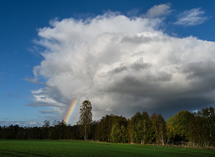 Regnbåge2.jpg