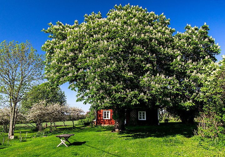 Stuga-Kinnekulle.jpg