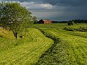 Gärden2
