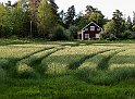 Gärden3