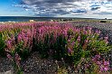 Holmhällar-3