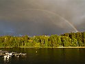 Regnbåge
