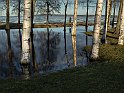 Väneris7