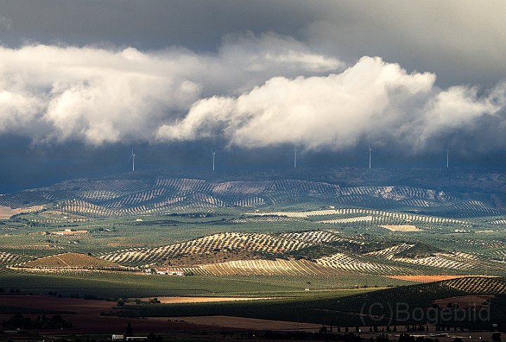 Antequerra-1.jpg