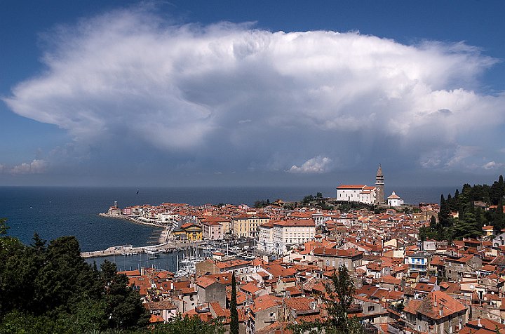 Piran-Slovenien.jpg
