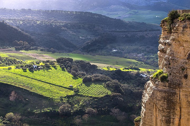 Ronda1.jpg