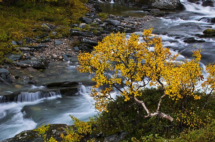 Rondane-Dovrefjäll.jpg