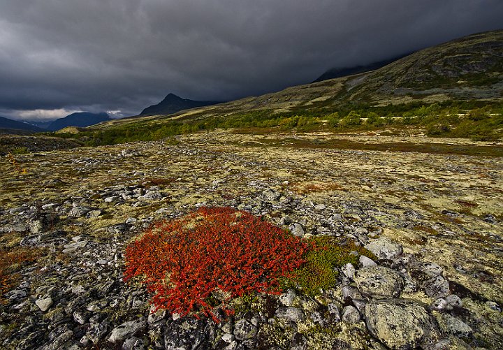 Rondane_7.jpg