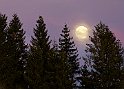 Månsken4
