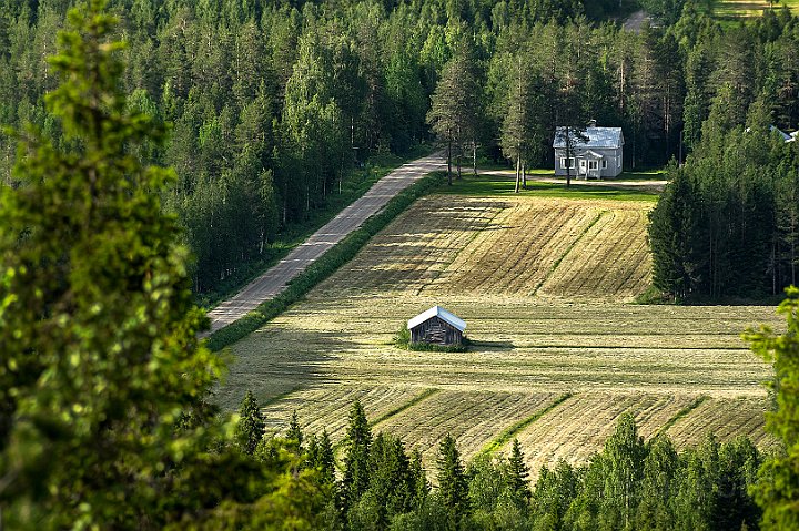 Gärden2-Tornedalen.jpg
