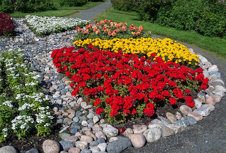 Plantering-Torneå.jpg