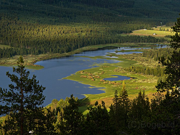 Tornedalen.jpg