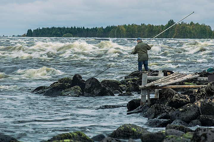 Torneälven-fiske.jpg
