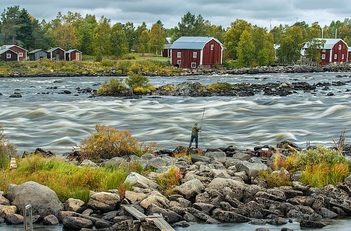 Torneälven-fiske2.jpg