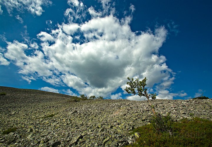 Ylläs-2.jpg
