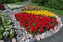 Plantering-Torneå