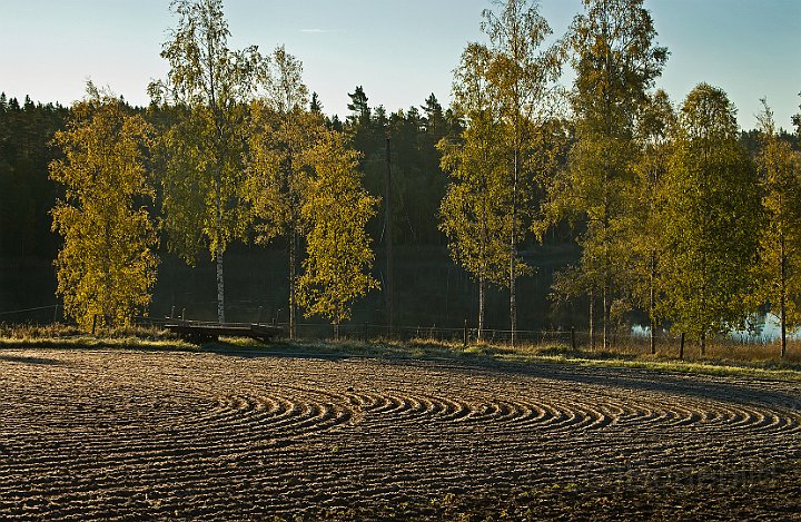 Höstmorgon-vid-sjö-2.jpg