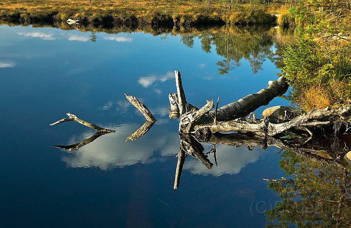 Komosse-Björnsjön-2.jpg