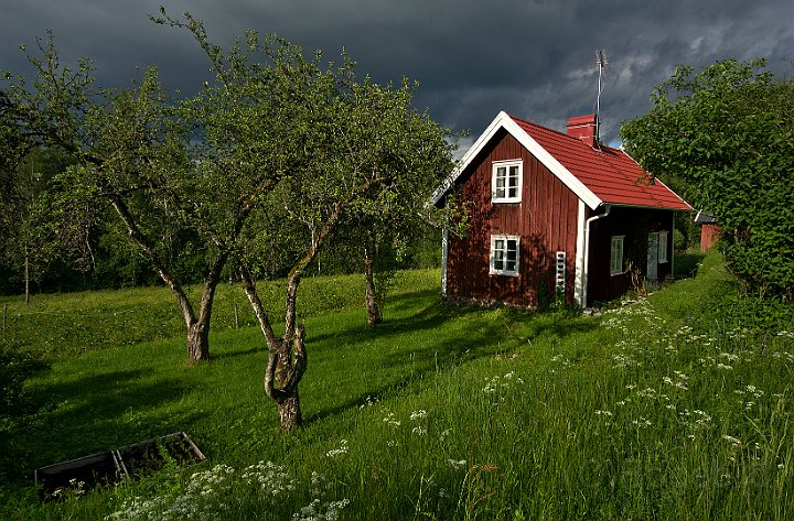 Röd-stuga.jpg