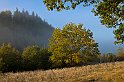 Höstmorgon-1