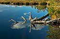 Komosse-Björnsjön-2