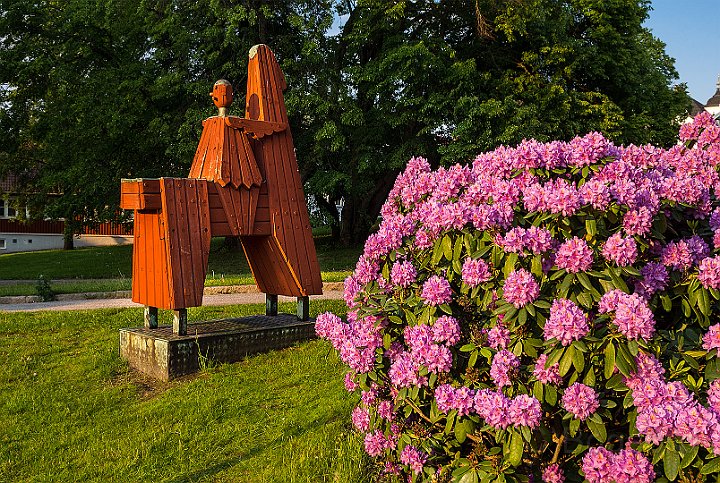 Rhododendron-Sten-Sturestaty.jpg