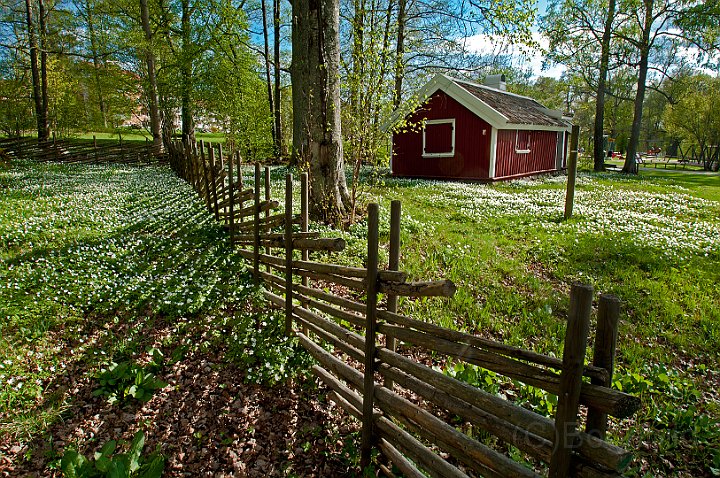 Stadsparken-staket-stuga.jpg