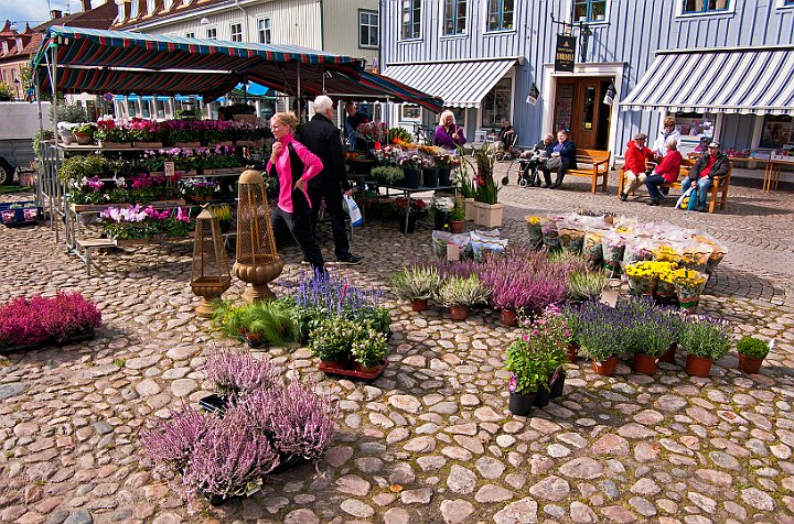 Torghandel-blommor.jpg
