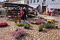 Torghandel-blommor