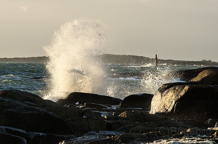 Apelviken-9.jpg