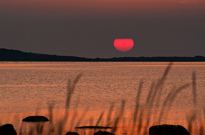 Getterön-motljus3.jpg