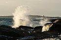 Apelviken-9