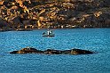 Fiske-Bohuslän