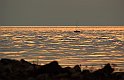 Halland1-Varberg
