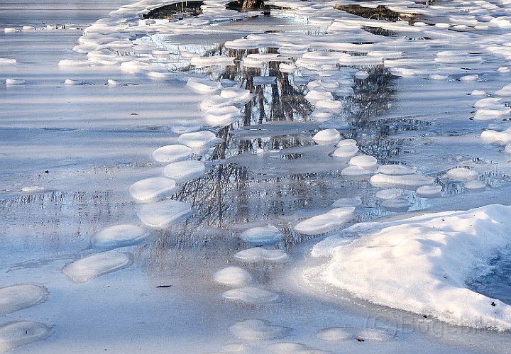 Damm-vinter-1.jpg