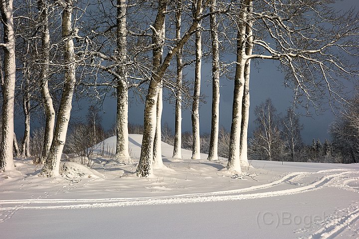 Golfbanan-vinter1.jpg
